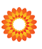 Alsion Ltd